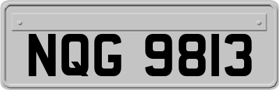 NQG9813