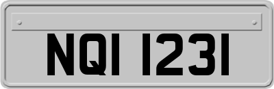 NQI1231