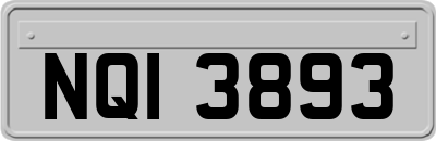 NQI3893