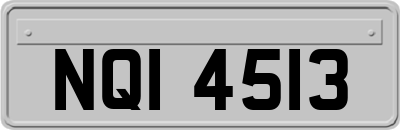 NQI4513