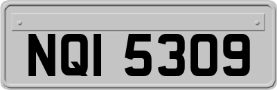 NQI5309