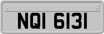 NQI6131