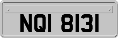 NQI8131
