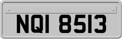 NQI8513