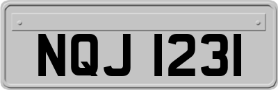 NQJ1231