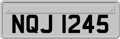 NQJ1245