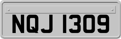 NQJ1309