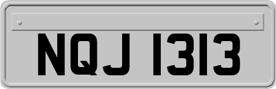 NQJ1313
