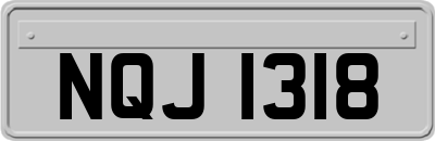 NQJ1318