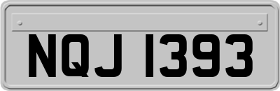 NQJ1393