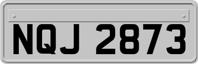 NQJ2873
