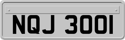 NQJ3001