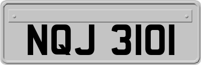 NQJ3101