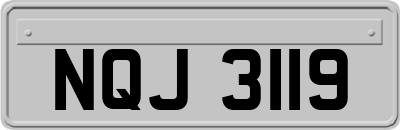NQJ3119