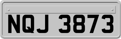 NQJ3873