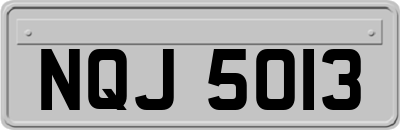 NQJ5013