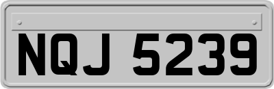 NQJ5239