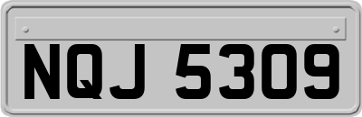 NQJ5309