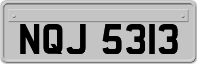 NQJ5313