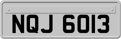 NQJ6013