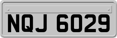 NQJ6029