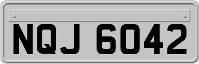 NQJ6042