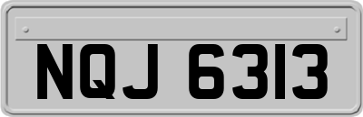 NQJ6313