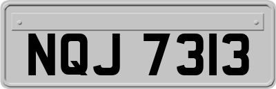 NQJ7313