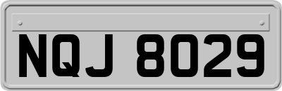 NQJ8029