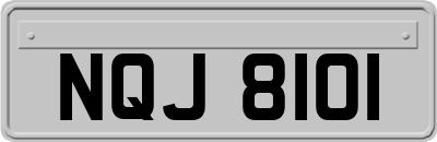 NQJ8101