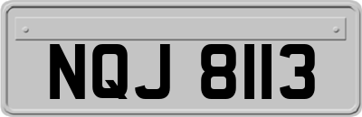 NQJ8113