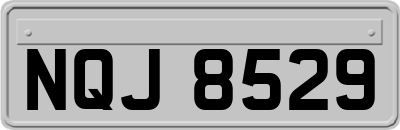 NQJ8529