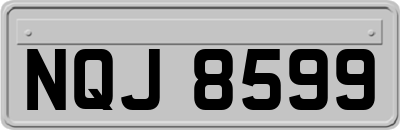 NQJ8599