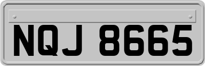 NQJ8665