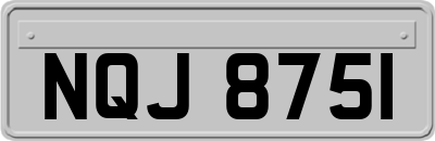NQJ8751