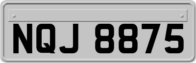NQJ8875