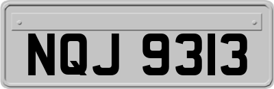NQJ9313
