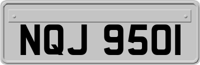 NQJ9501
