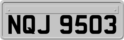 NQJ9503
