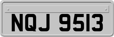 NQJ9513