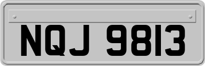 NQJ9813