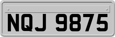 NQJ9875