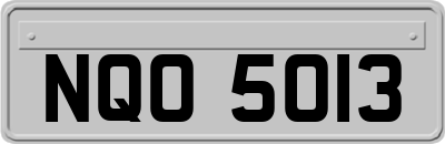 NQO5013