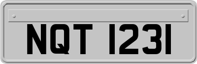 NQT1231