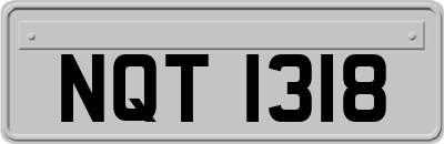 NQT1318