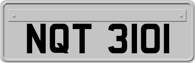 NQT3101