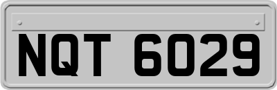 NQT6029