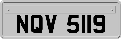 NQV5119