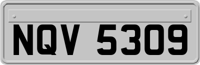 NQV5309