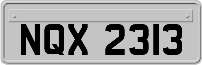 NQX2313